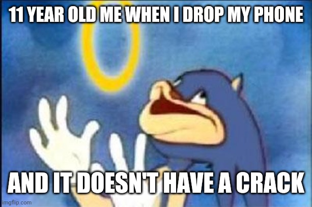 It's true | 11 YEAR OLD ME WHEN I DROP MY PHONE; AND IT DOESN'T HAVE A CRACK | image tagged in sonic derp | made w/ Imgflip meme maker