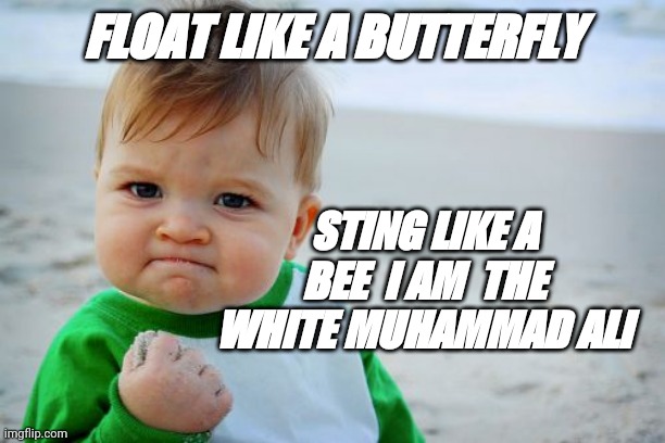Rumble my jungle | FLOAT LIKE A BUTTERFLY; STING LIKE A BEE  I AM  THE WHITE MUHAMMAD ALI | image tagged in memes,success kid original | made w/ Imgflip meme maker