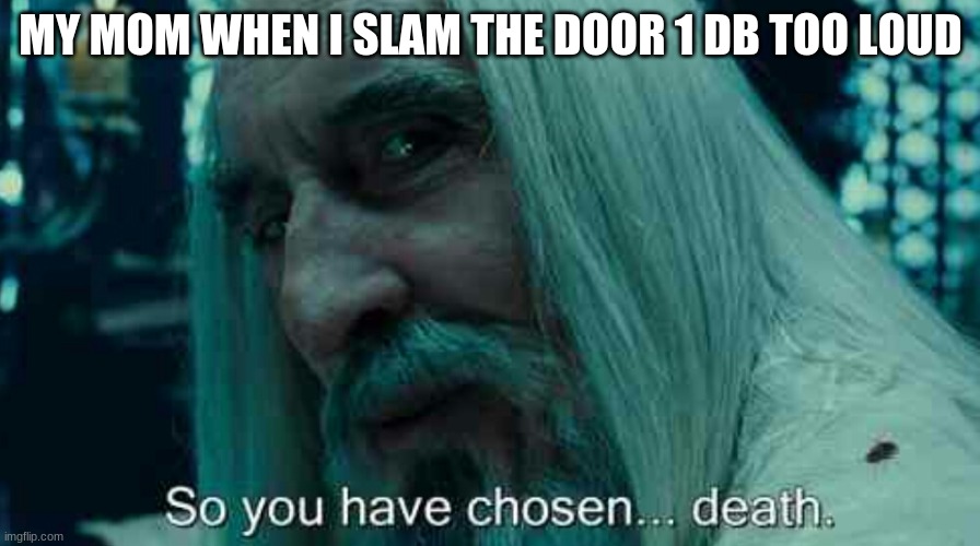 So you have chosen death | MY MOM WHEN I SLAM THE DOOR 1 DB TOO LOUD | image tagged in so you have chosen death | made w/ Imgflip meme maker