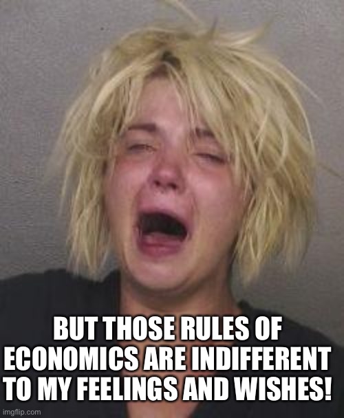 CryingWoman | BUT THOSE RULES OF ECONOMICS ARE INDIFFERENT TO MY FEELINGS AND WISHES! | image tagged in cryingwoman | made w/ Imgflip meme maker