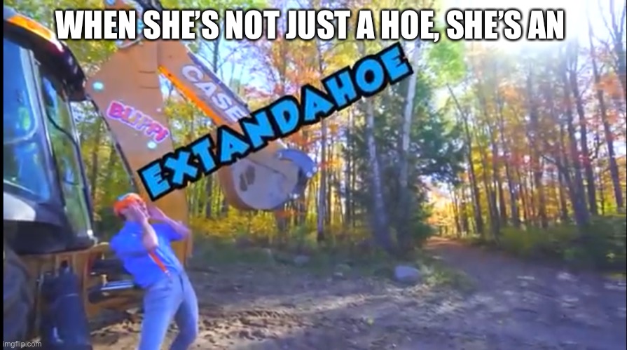 Not just a hoe | WHEN SHE’S NOT JUST A HOE, SHE’S AN | image tagged in hoes | made w/ Imgflip meme maker