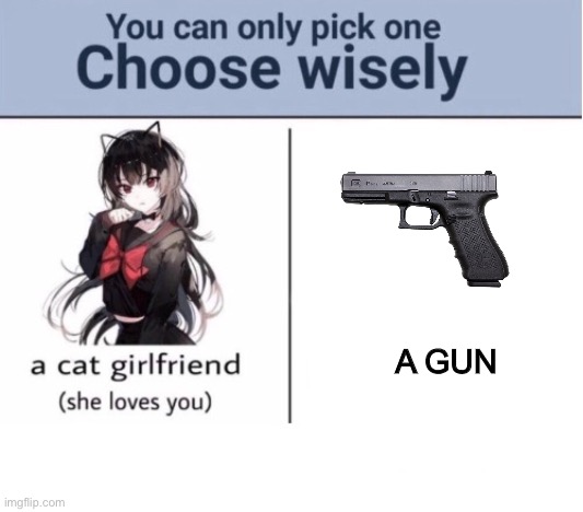 How bout a gun? |  A GUN | image tagged in choose wisely | made w/ Imgflip meme maker