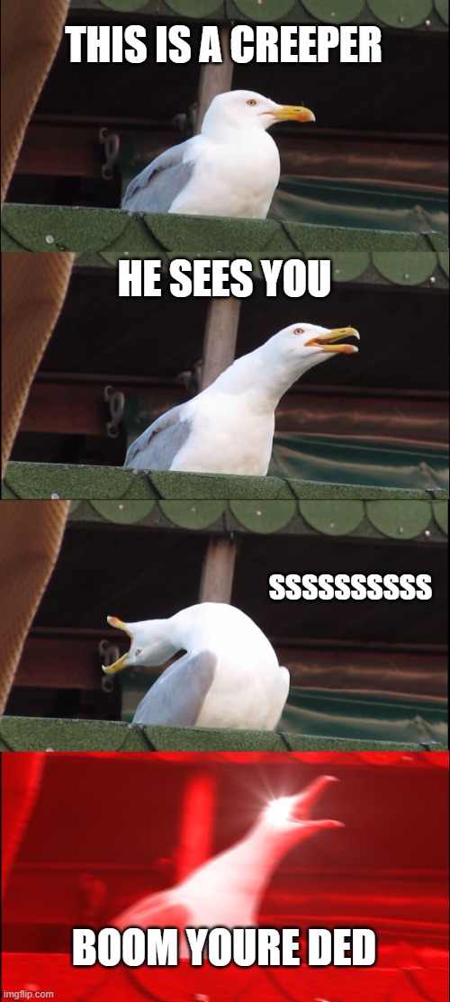 Inhaling Seagull | THIS IS A CREEPER; HE SEES YOU; SSSSSSSSSS; BOOM YOURE DED | image tagged in memes,inhaling seagull | made w/ Imgflip meme maker