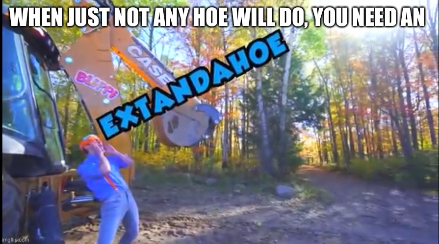 Not just any hoe | WHEN JUST NOT ANY HOE WILL DO, YOU NEED AN | image tagged in construction,hoes | made w/ Imgflip meme maker