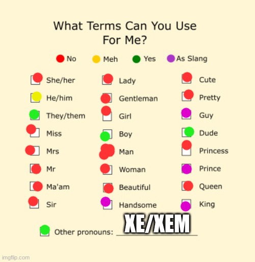 Pronouns Sheet | XE/XEM | image tagged in pronouns sheet | made w/ Imgflip meme maker