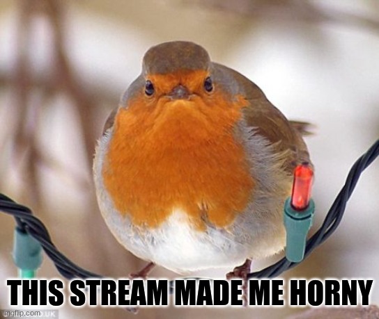 Bah Humbug Meme | THIS STREAM MADE ME HORNY | image tagged in memes,bah humbug | made w/ Imgflip meme maker