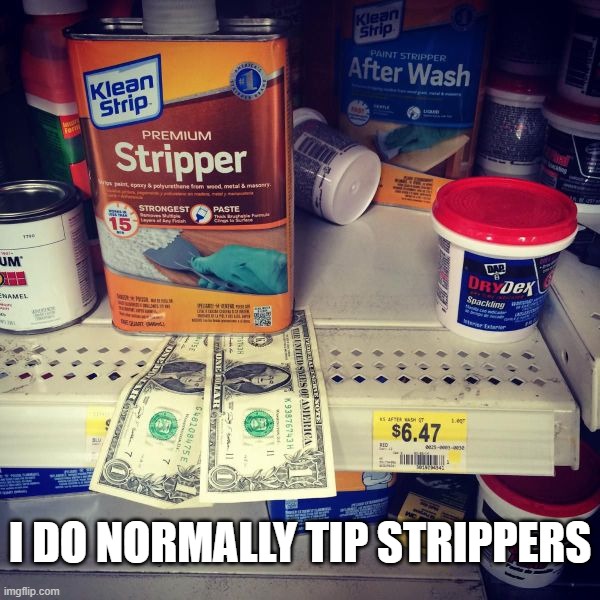 I DO NORMALLY TIP STRIPPERS | image tagged in bad puns | made w/ Imgflip meme maker