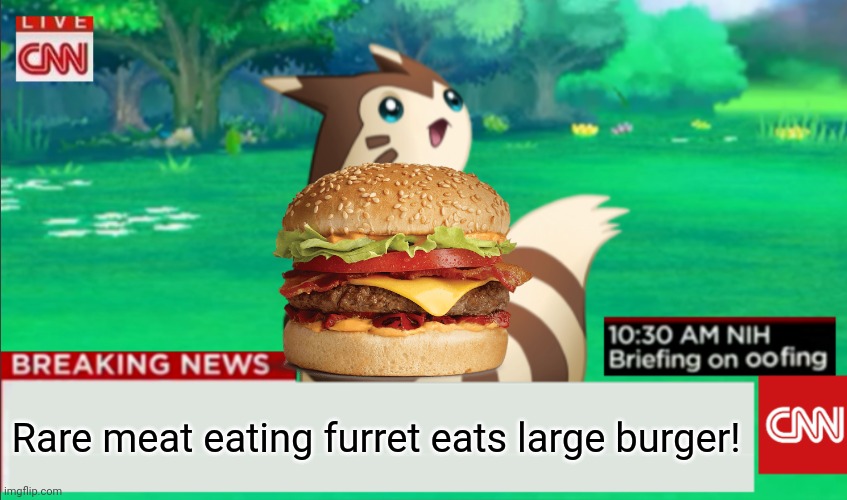 Rare furret! | Rare meat eating furret eats large burger! | image tagged in breaking news furret,hamburger,furret,fur fur fur,nom nom nom | made w/ Imgflip meme maker