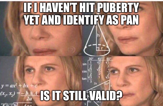 I’m kinda questioning this | IF I HAVEN’T HIT PUBERTY YET AND IDENTIFY AS PAN; IS IT STILL VALID? | image tagged in math lady/confused lady | made w/ Imgflip meme maker