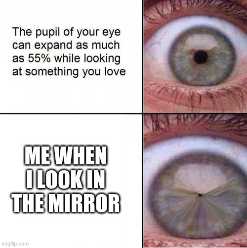 Eye Pupil (Shrinking) Template | ME WHEN I LOOK IN THE MIRROR | image tagged in eye pupil shrinking template | made w/ Imgflip meme maker