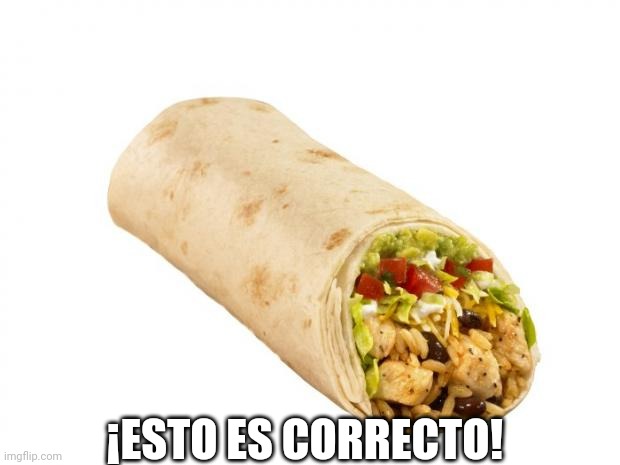 burrito | ¡ESTO ES CORRECTO! | image tagged in burrito | made w/ Imgflip meme maker