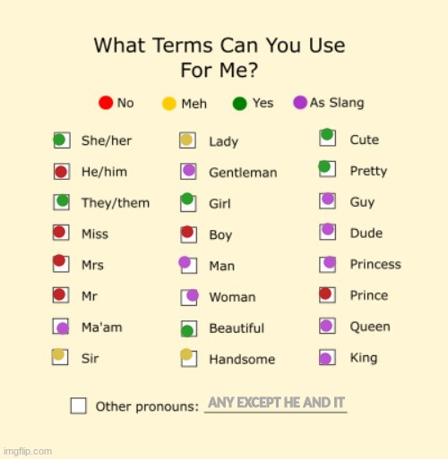 yeet | ANY EXCEPT HE AND IT | image tagged in pronouns sheet | made w/ Imgflip meme maker