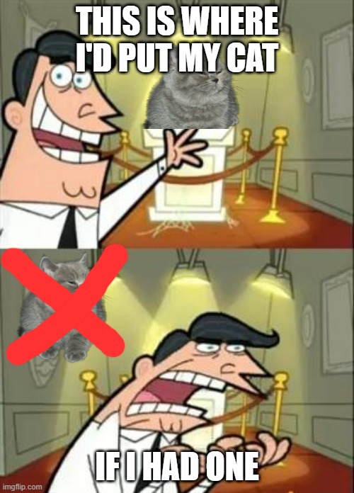 This Is Where I'd Put My Trophy If I Had One Meme | THIS IS WHERE I'D PUT MY CAT; IF I HAD ONE | image tagged in memes,this is where i'd put my trophy if i had one | made w/ Imgflip meme maker