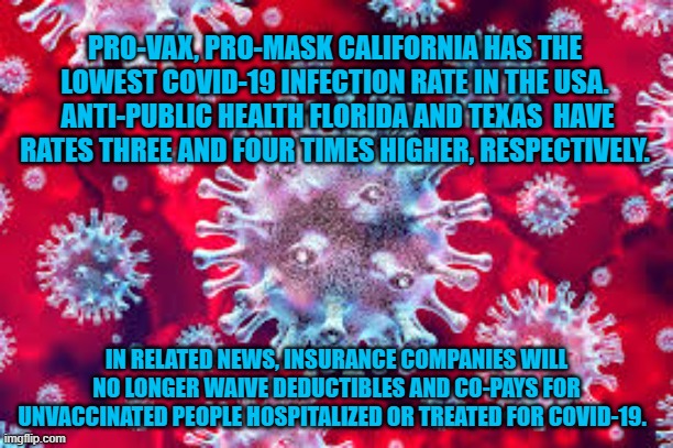 The personal costs for denial are going up. | PRO-VAX, PRO-MASK CALIFORNIA HAS THE LOWEST COVID-19 INFECTION RATE IN THE USA.  ANTI-PUBLIC HEALTH FLORIDA AND TEXAS  HAVE RATES THREE AND FOUR TIMES HIGHER, RESPECTIVELY. IN RELATED NEWS, INSURANCE COMPANIES WILL NO LONGER WAIVE DEDUCTIBLES AND CO-PAYS FOR UNVACCINATED PEOPLE HOSPITALIZED OR TREATED FOR COVID-19. | image tagged in politics | made w/ Imgflip meme maker