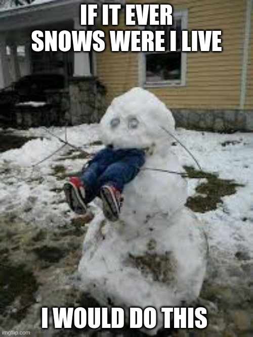 snow man attack | IF IT EVER SNOWS WERE I LIVE; I WOULD DO THIS | image tagged in snow man attack | made w/ Imgflip meme maker