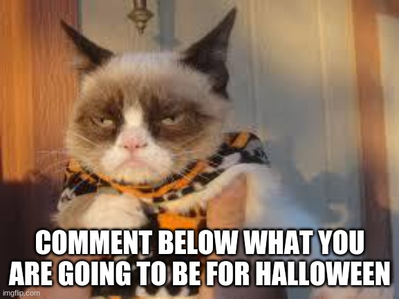 2021 Halloween | COMMENT BELOW WHAT YOU ARE GOING TO BE FOR HALLOWEEN | image tagged in memes,grumpy cat halloween,grumpy cat | made w/ Imgflip meme maker