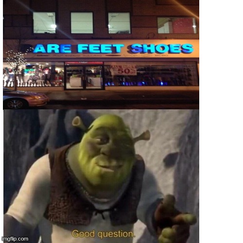 In life, you gotta start asking the big questions | image tagged in are feet shoes,shrek good question | made w/ Imgflip meme maker