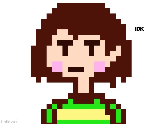 IDK | image tagged in chara | made w/ Imgflip meme maker