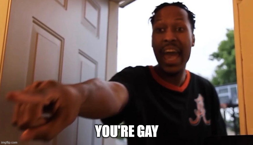 You're Gay | YOU'RE GAY | image tagged in you're gay | made w/ Imgflip meme maker