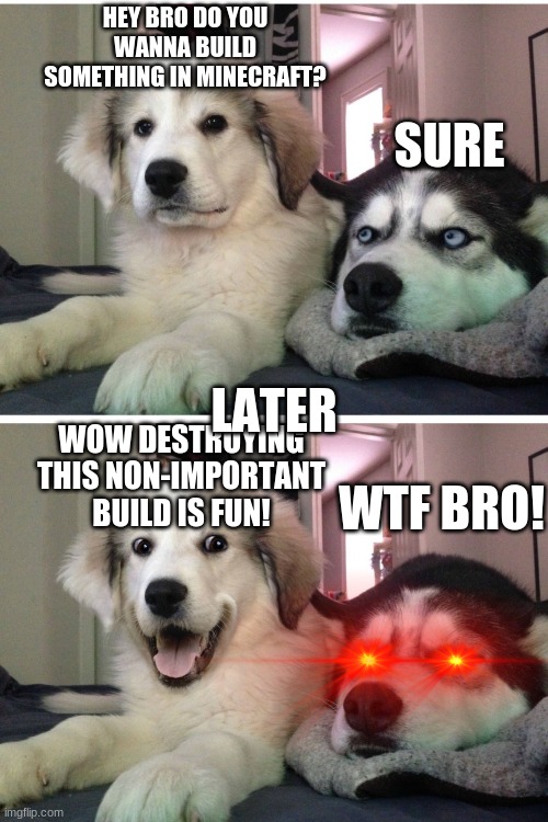 Bad pun dogs |  HEY BRO DO YOU WANNA BUILD SOMETHING IN MINECRAFT? SURE; LATER; WOW DESTROYING THIS NON-IMPORTANT BUILD IS FUN! WTF BRO! | image tagged in bad pun dogs | made w/ Imgflip meme maker