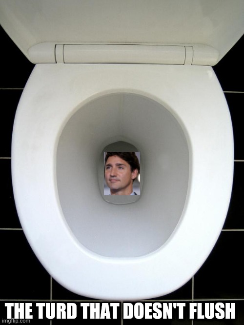 Justine turd-eau | THE TURD THAT DOESN'T FLUSH | image tagged in toilet,justin trudeau | made w/ Imgflip meme maker
