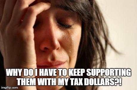 *meme comment* | WHY DO I HAVE TO KEEP SUPPORTING THEM WITH MY TAX DOLLARS?! | image tagged in memes,first world problems | made w/ Imgflip meme maker