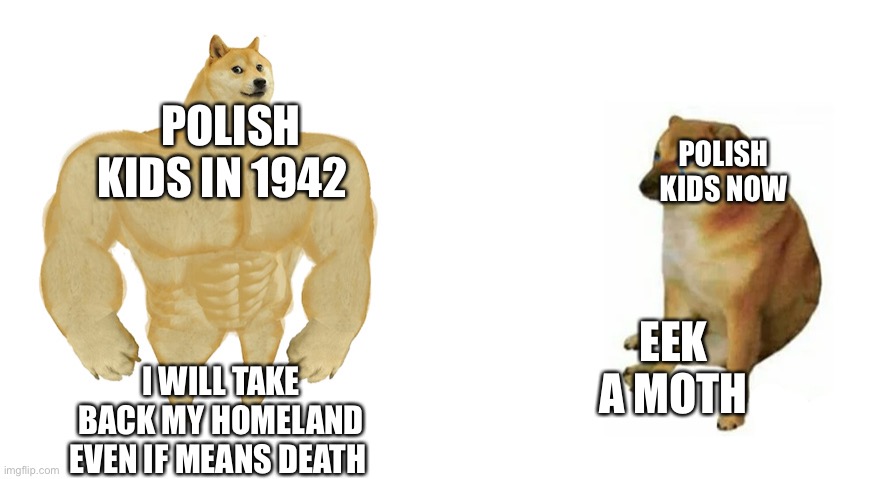 Buff Doge vs Crying Cheems | POLISH KIDS IN 1942; POLISH KIDS NOW; EEK A MOTH; I WILL TAKE BACK MY HOMELAND EVEN IF MEANS DEATH | image tagged in buff doge vs crying cheems | made w/ Imgflip meme maker