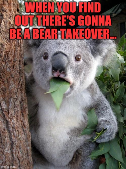 Bear takeover | WHEN YOU FIND OUT THERE'S GONNA BE A BEAR TAKEOVER... | image tagged in memes,surprised koala,bear,takeover | made w/ Imgflip meme maker