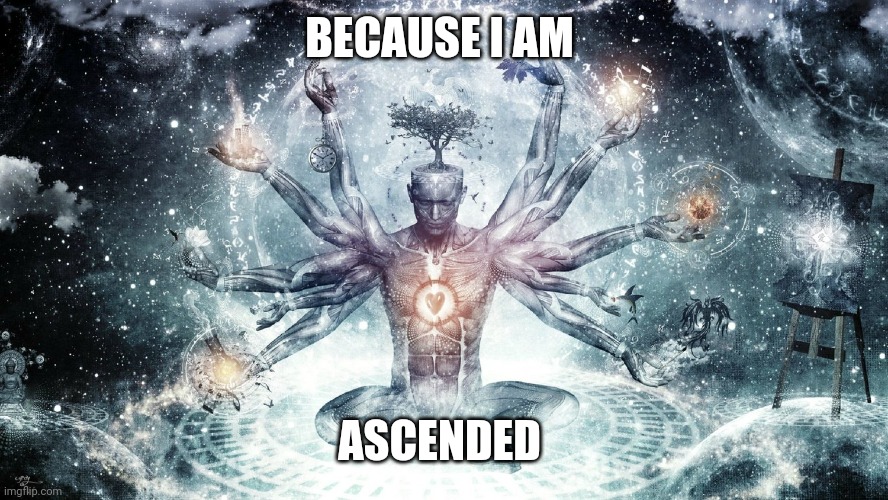 Ascendant human | BECAUSE I AM ASCENDED | image tagged in ascendant human | made w/ Imgflip meme maker