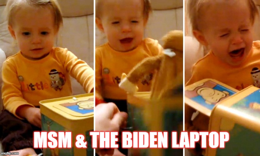 Surprise! | MSM & THE BIDEN LAPTOP | image tagged in democrats,joe biden,hunter biden,msm | made w/ Imgflip meme maker