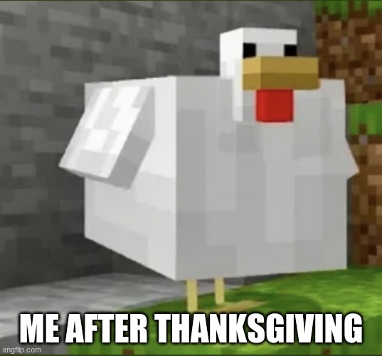 Big ChickChungus | ME AFTER THANKSGIVING | image tagged in cursed chicken | made w/ Imgflip meme maker