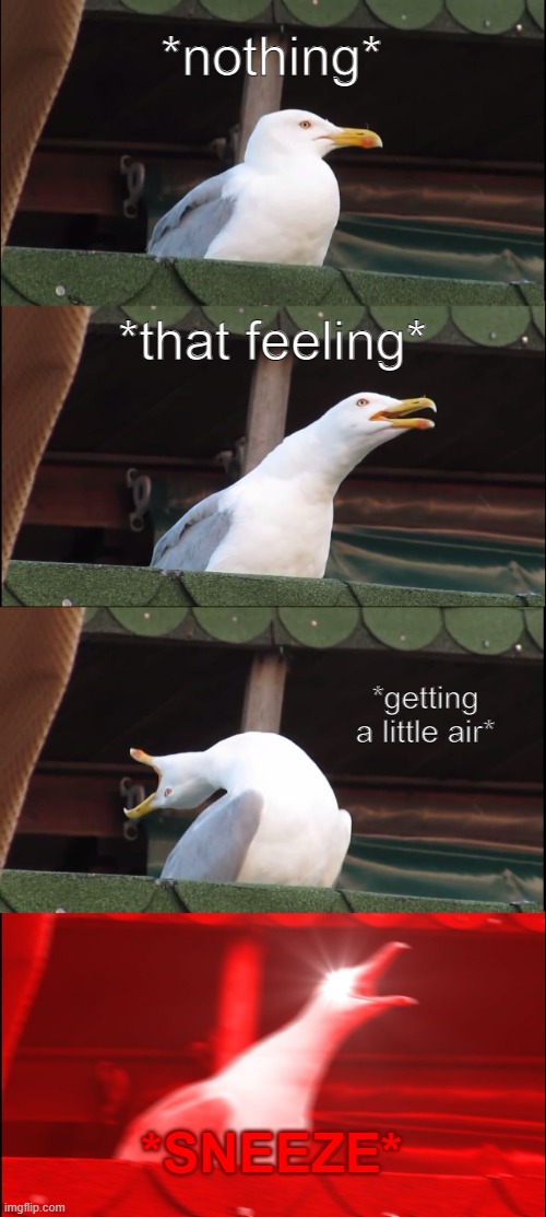 thats what happens | *nothing*; *that feeling*; *getting a little air*; *SNEEZE* | image tagged in memes,inhaling seagull,sneeze | made w/ Imgflip meme maker