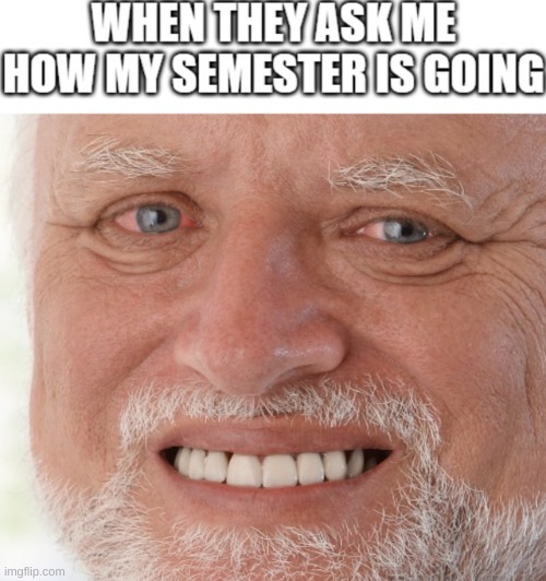 hehehe *cries* | image tagged in school bad | made w/ Imgflip meme maker