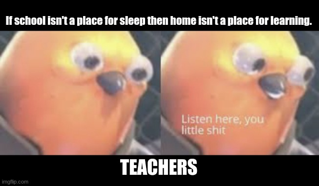 School | If school isn't a place for sleep then home isn't a place for learning. TEACHERS | image tagged in listen here you little shit bird | made w/ Imgflip meme maker