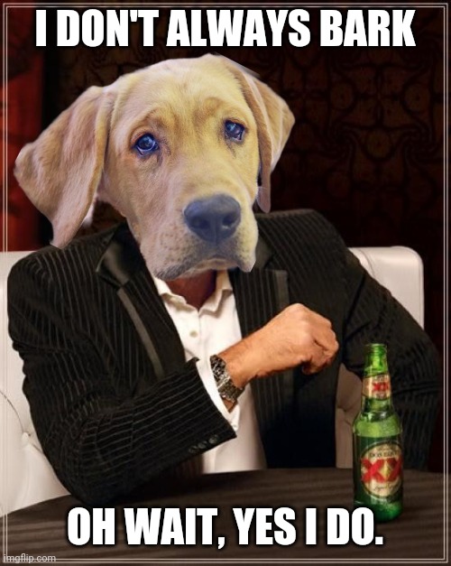 Everybody has that neighbor dog | I DON'T ALWAYS BARK; OH WAIT, YES I DO. | image tagged in memes,the most interesting man in the world | made w/ Imgflip meme maker