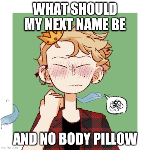 hey look its bean | WHAT SHOULD MY NEXT NAME BE; AND NO BODY PILLOW | image tagged in hey look its bean | made w/ Imgflip meme maker