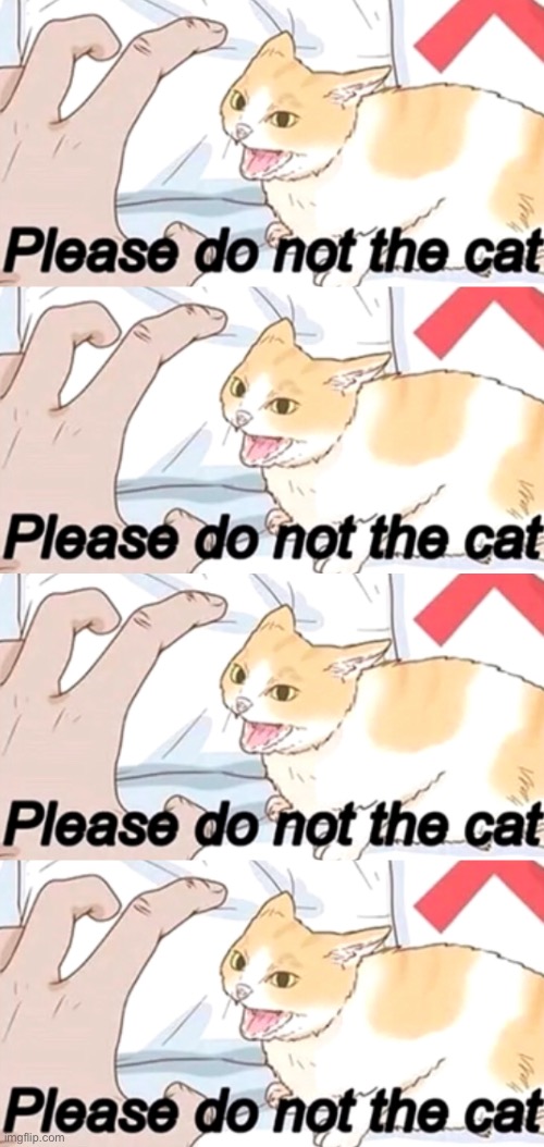 Please do not the cat | image tagged in please do not the cat,piease do not the cat,please do not,the cat,please,do not the cat | made w/ Imgflip meme maker