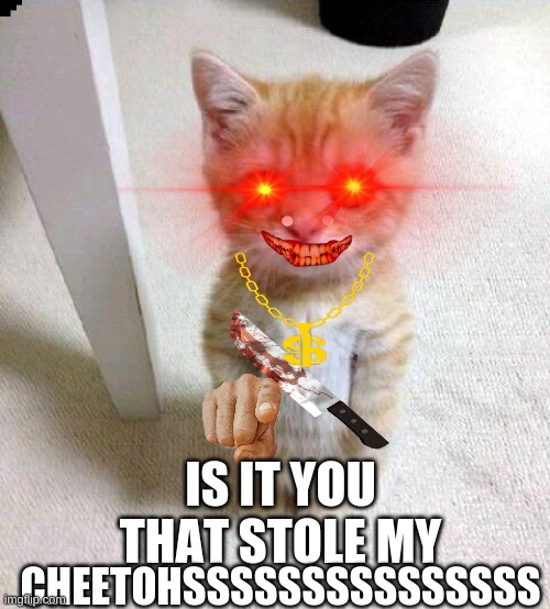 Cute Cat Meme | IS IT YOU THAT STOLE MY; CHEETOHSSSSSSSSSSSSSSS | image tagged in memes,cute cat | made w/ Imgflip meme maker