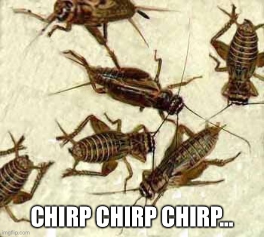 Crickets | CHIRP CHIRP CHIRP… | image tagged in crickets | made w/ Imgflip meme maker