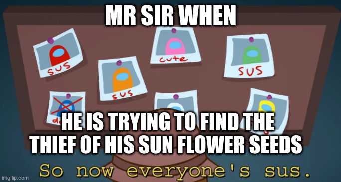 mr sir sus | MR SIR WHEN; HE IS TRYING TO FIND THE THIEF OF HIS SUN FLOWER SEEDS | image tagged in so now everyone's sus | made w/ Imgflip meme maker