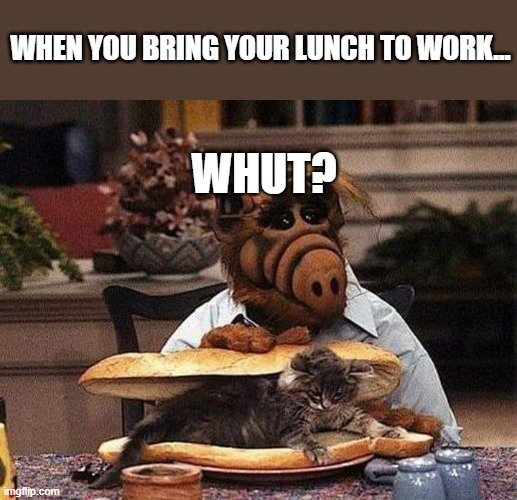 WHEN YOU BRING YOUR LUNCH TO WORK... WHUT? | image tagged in funny | made w/ Imgflip meme maker