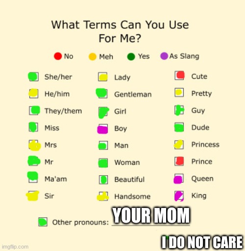 HERE TAKE THIS IDK | YOUR MOM; I DO NOT CARE | image tagged in pronouns sheet | made w/ Imgflip meme maker