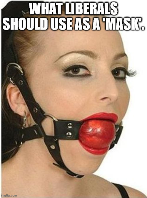 Ball Gag | WHAT LIBERALS SHOULD USE AS A 'MASK'. | image tagged in ball gag | made w/ Imgflip meme maker