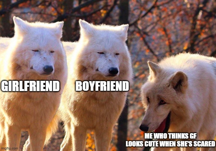 Grump Wolves | GIRLFRIEND; BOYFRIEND; ME WHO THINKS GF LOOKS CUTE WHEN SHE'S SCARED | image tagged in grump wolves | made w/ Imgflip meme maker