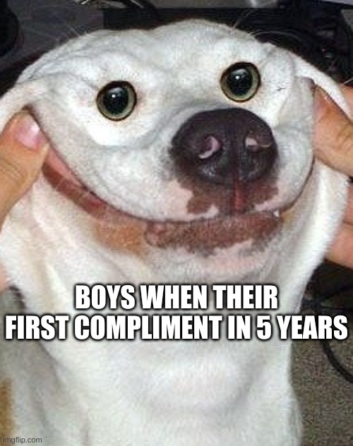 Compliments | BOYS WHEN THEIR FIRST COMPLIMENT IN 5 YEARS | image tagged in dog | made w/ Imgflip meme maker