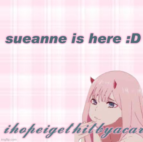 screeeeeeeeeeeeeeeee | sueanne is here :D | image tagged in ihopeigethitbyacar template 3 | made w/ Imgflip meme maker