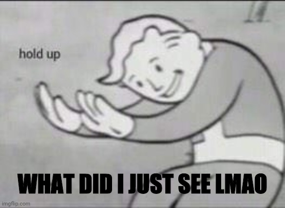 Fallout Hold Up | WHAT DID I JUST SEE LMAO | image tagged in fallout hold up | made w/ Imgflip meme maker