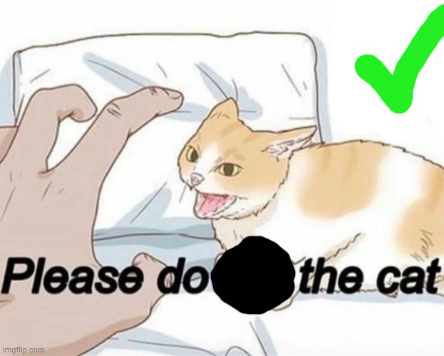 Please do the cat | image tagged in please do the cat | made w/ Imgflip meme maker