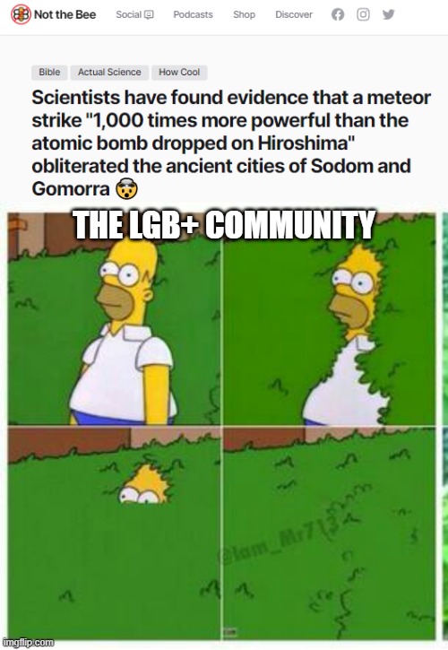 THE LGB+ COMMUNITY | image tagged in homer hides | made w/ Imgflip meme maker