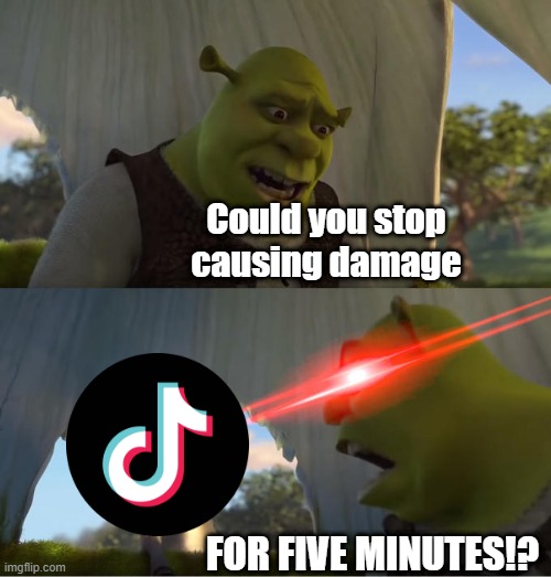 Shrek for five minutes | Could you stop causing damage; FOR FIVE MINUTES!? | image tagged in shrek for five minutes | made w/ Imgflip meme maker